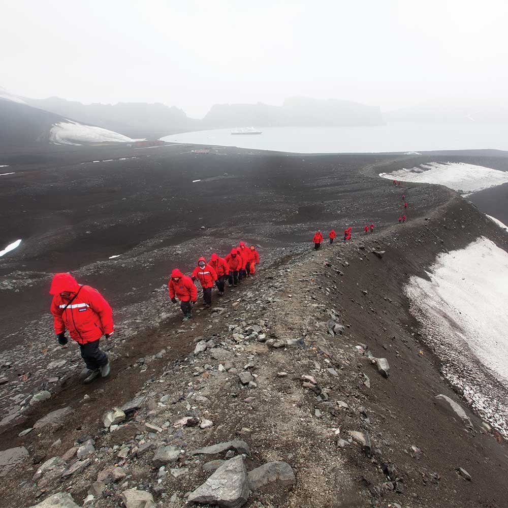 Expeditions-Teilnehmer wandern in der Antarktis